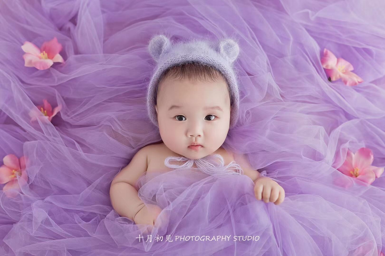 Newborn Photography Props Mesh - Photography Background のレビューと価格