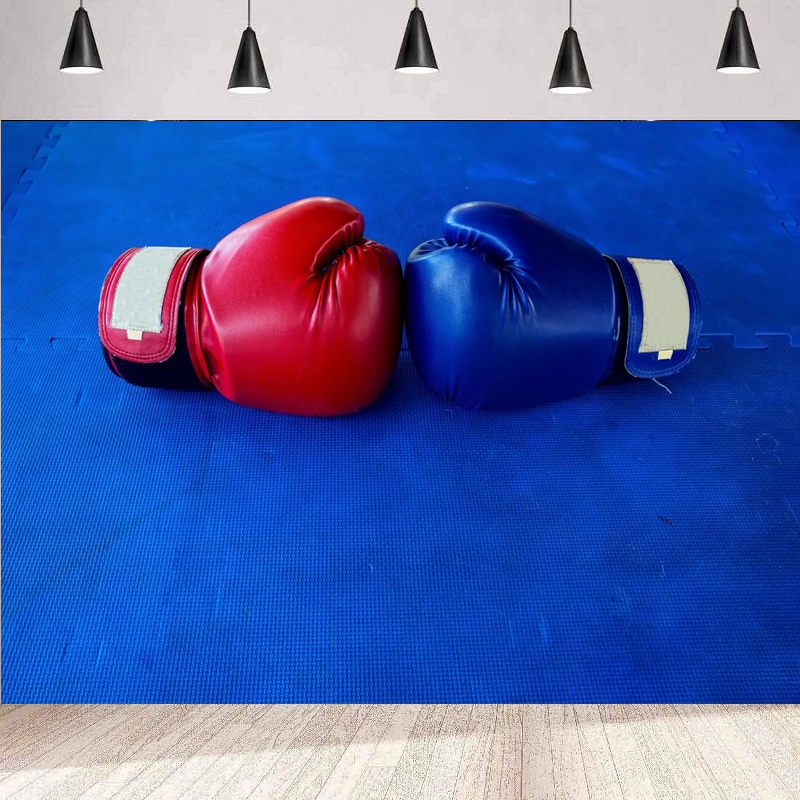 Boxing Gloves Photography Back - Photography Competition のレビューと価格
