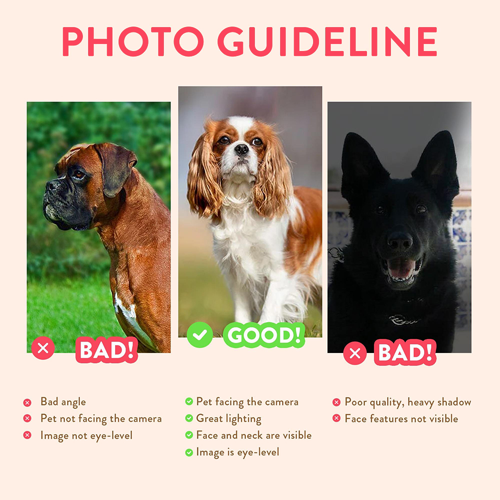 Personalized Pet Portraits Pho - Photography Poster のレビューと価格