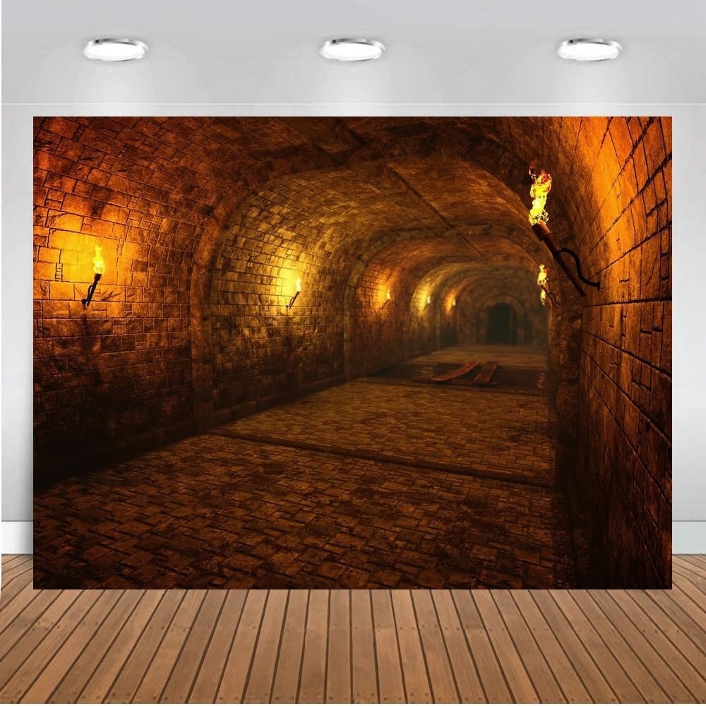 Dark Medieval Castle Dungeon T - Photography Dark Cloth のレビューと価格