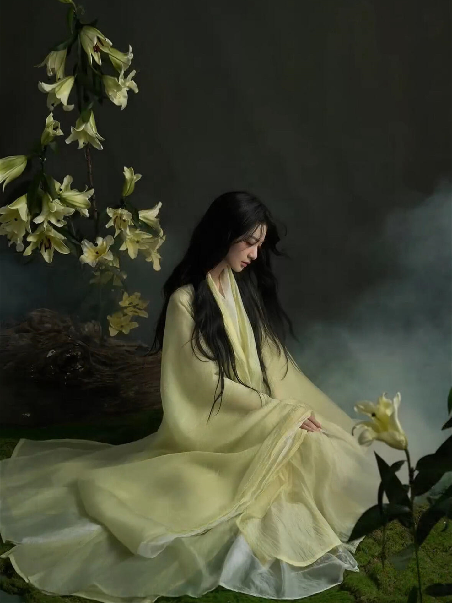Elegant Hanfu Photography Cost - Photography Of War のレビューと価格