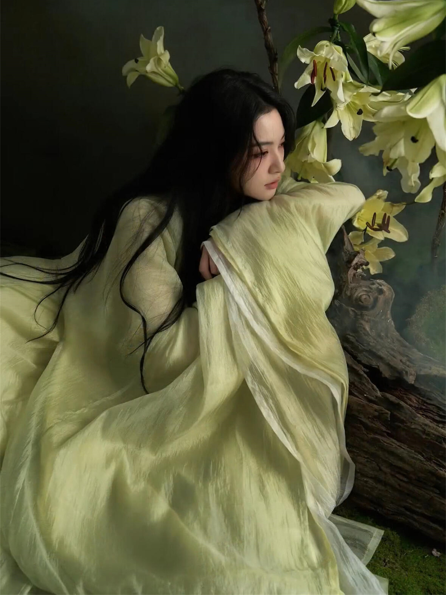 Elegant Hanfu Photography Cost - Photography Of War のレビューと価格