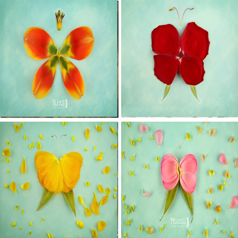 Photography Backdrop Glow In D - Photography Dark Cloth のレビューと価格