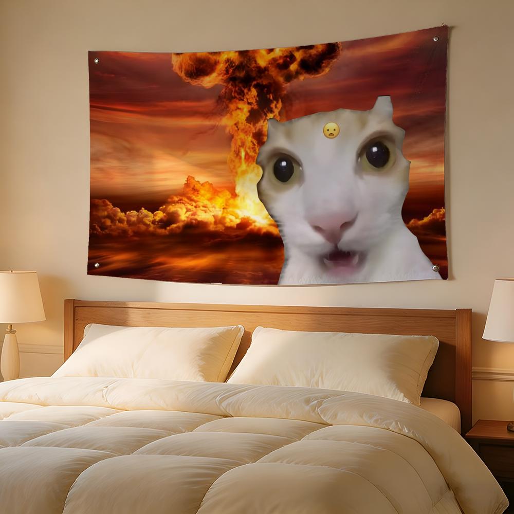 Interesting Cat Photography Fl - Photography Interest のレビューと価格
