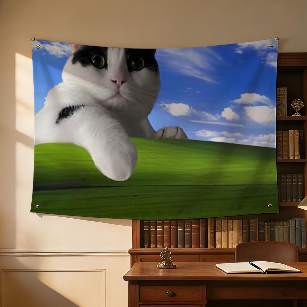 Interesting Cat Photography Fl - Photography Interest のレビューと価格