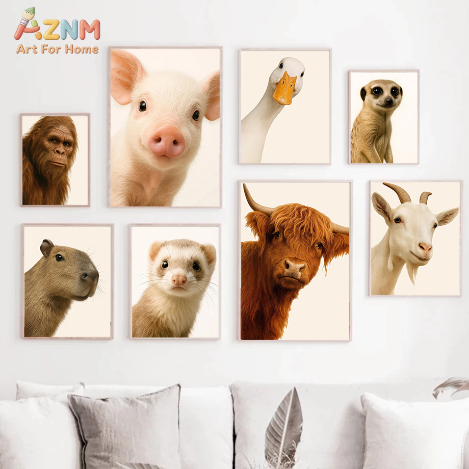 Interesting And Humorous Anima - Photography Interest のレビューと価格