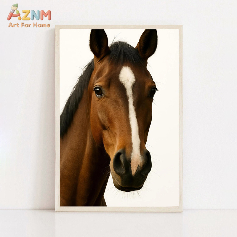 Interesting And Humorous Anima - Photography Interest のレビューと価格