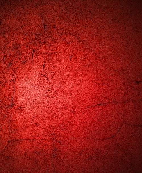 Johnson Scarlet Dark red backd - Photography Dark Cloth のレビューと価格