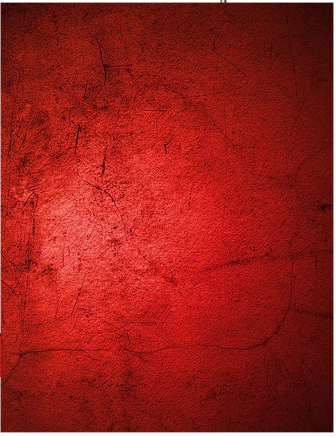 Johnson Scarlet Dark red backd - Photography Dark Cloth のレビューと価格