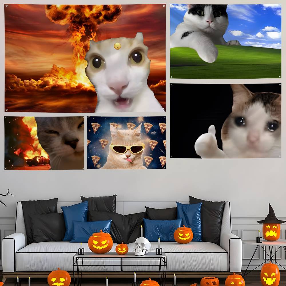 Interesting cat photography Fl - Photography Interest のレビューと価格