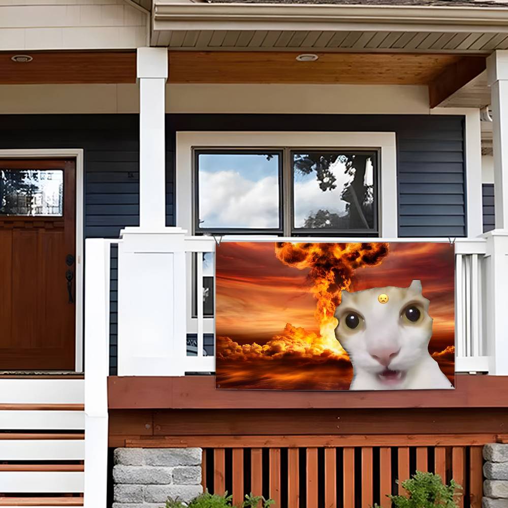 Interesting cat photography Fl - Photography Interest のレビューと価格