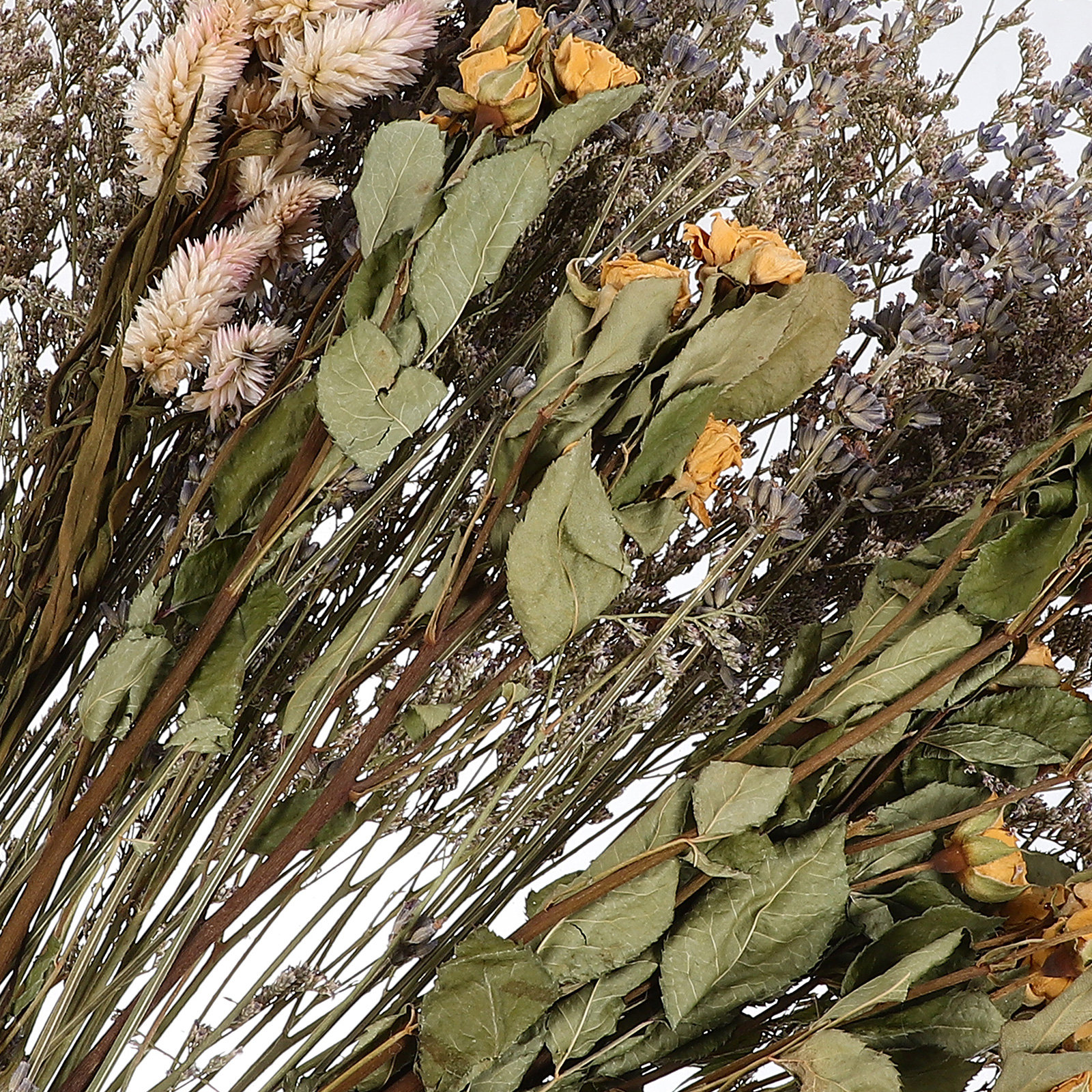 Dried Lavender Roses BouquetPr - Photography Background のレビューと価格