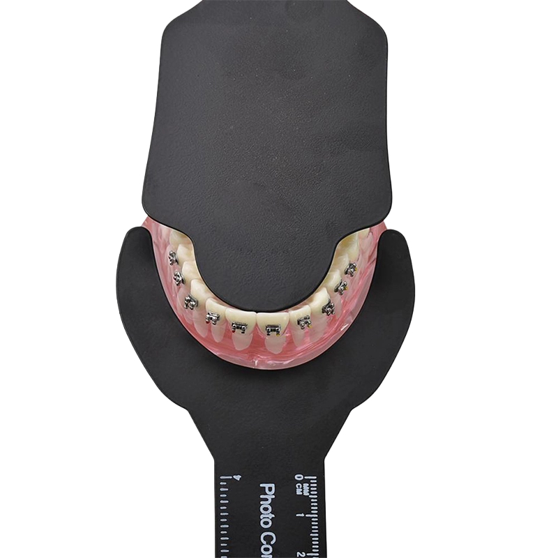 Dental Photography dentistry P - Photography Background のレビューと価格