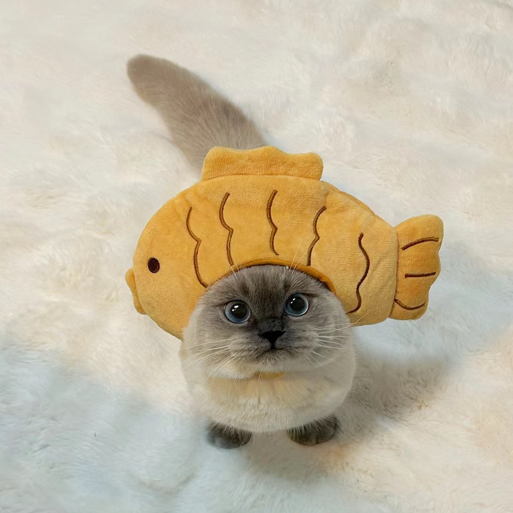 1pcs Interesting pet headwear  - Photography Interest のレビューと価格