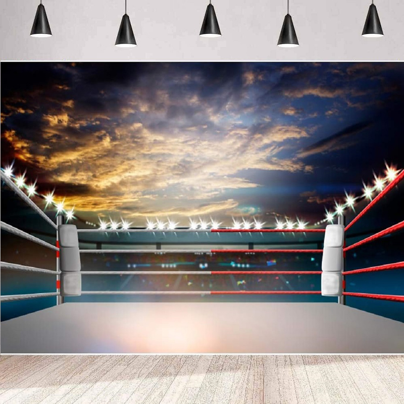 Lighting 3D Boxing Arena Photo - Photography Competition のレビューと価格